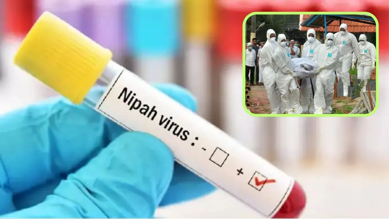 kerala nipah virus news today