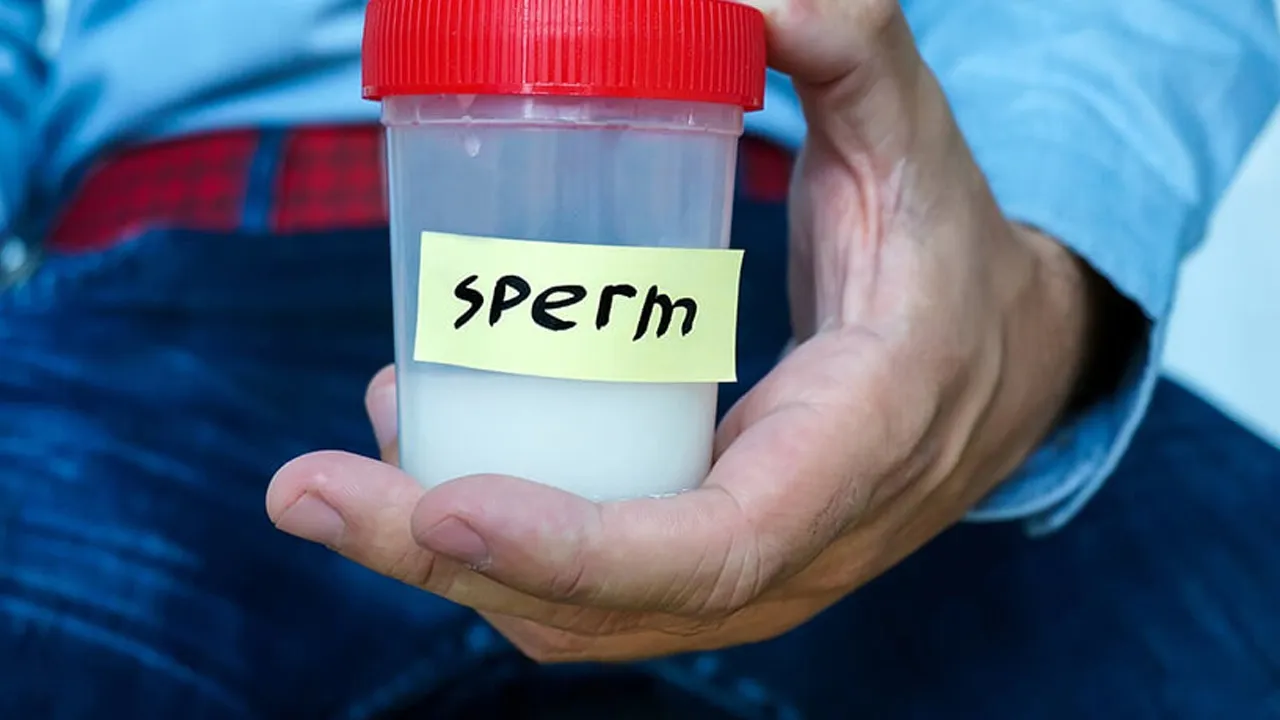 sperm-count