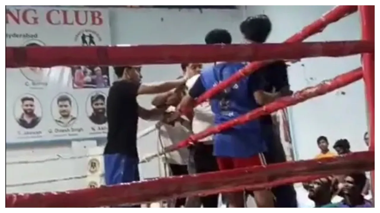 Boxers and coaches