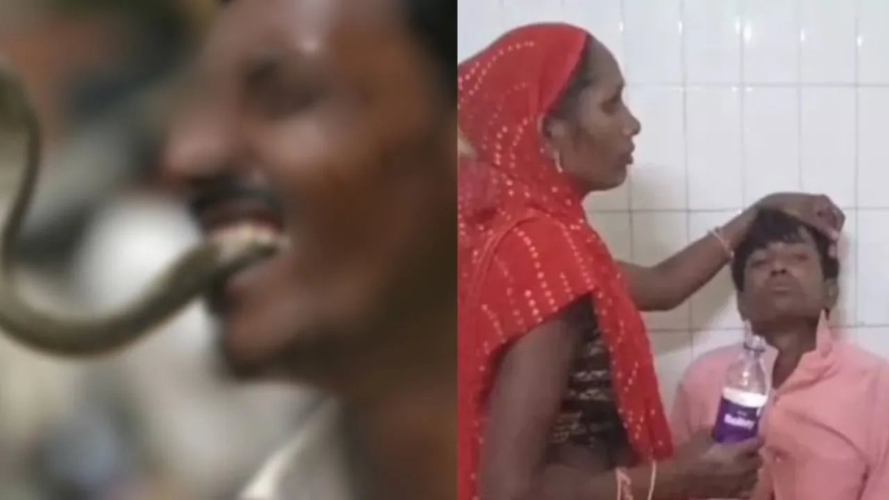 man chewed snake in banda uttar pradesh