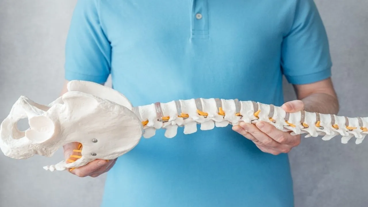 bone