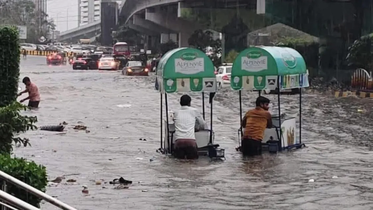Heavy Rains