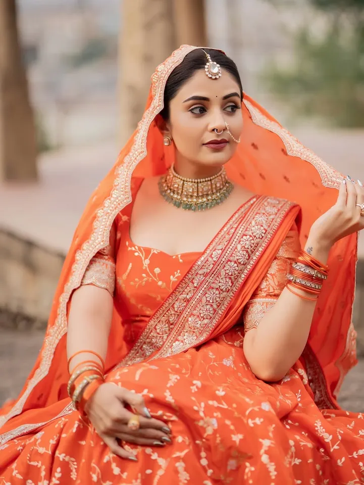 sreemukhi princes look pic nine
