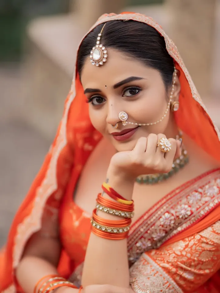 sreemukhi princes look pic six