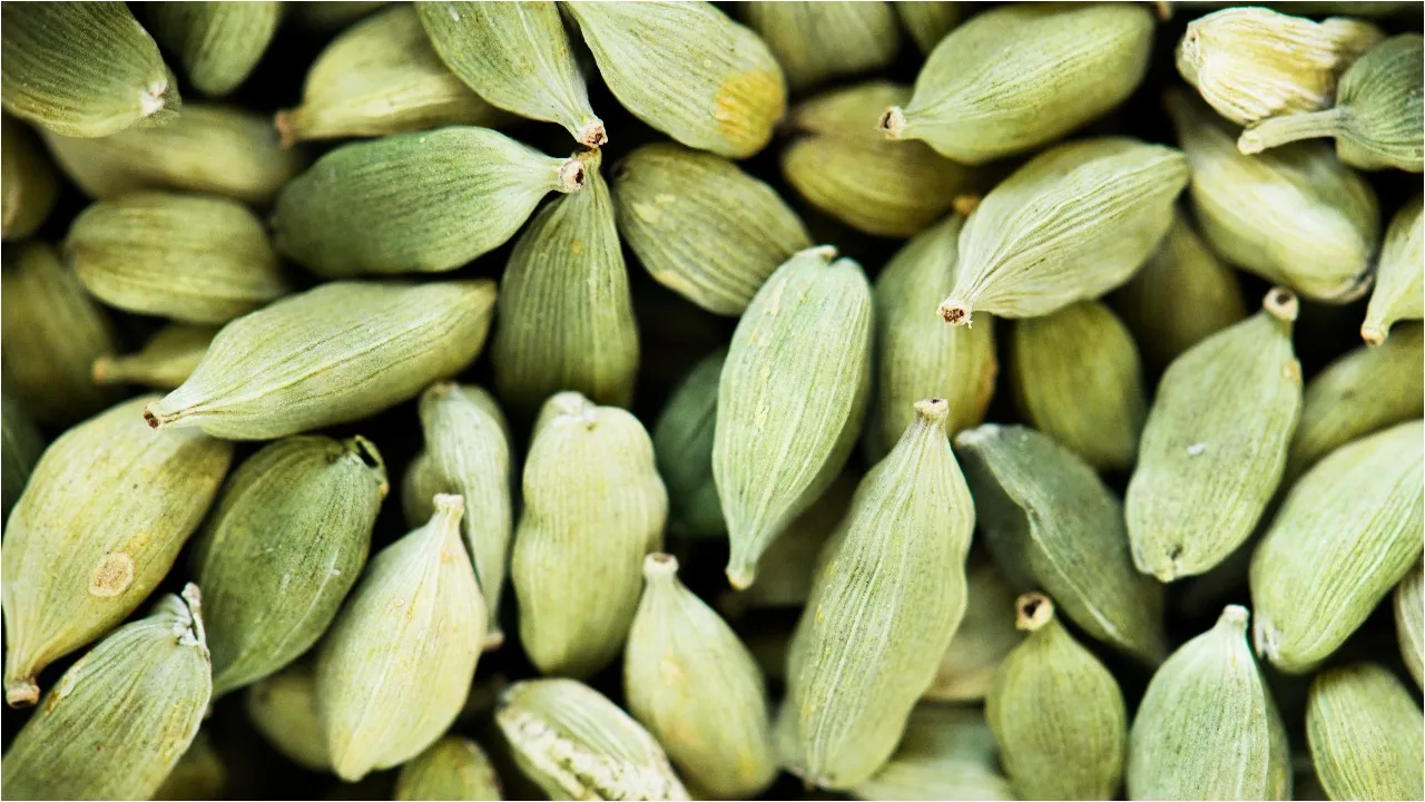 Green Cardamom