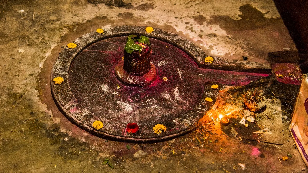 Silver snakes on the Shivalinga