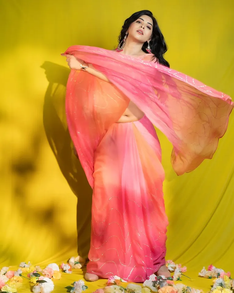 priyanka singh pic two