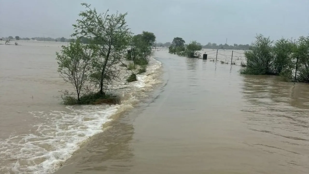 Madhya pradesh rains