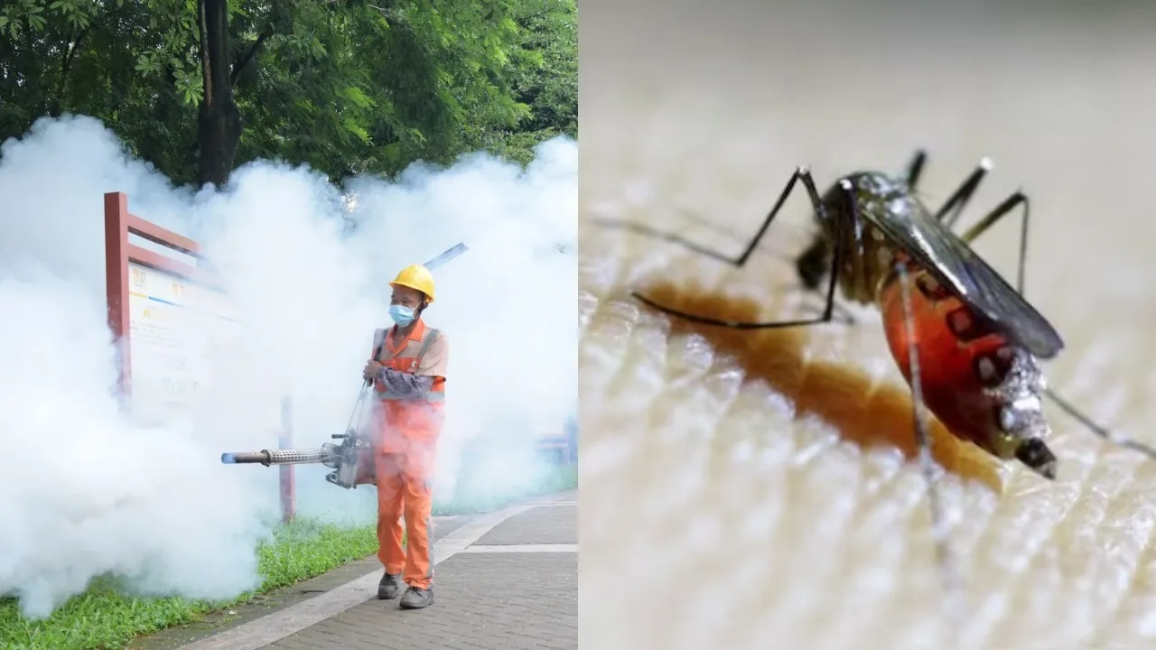 China virus