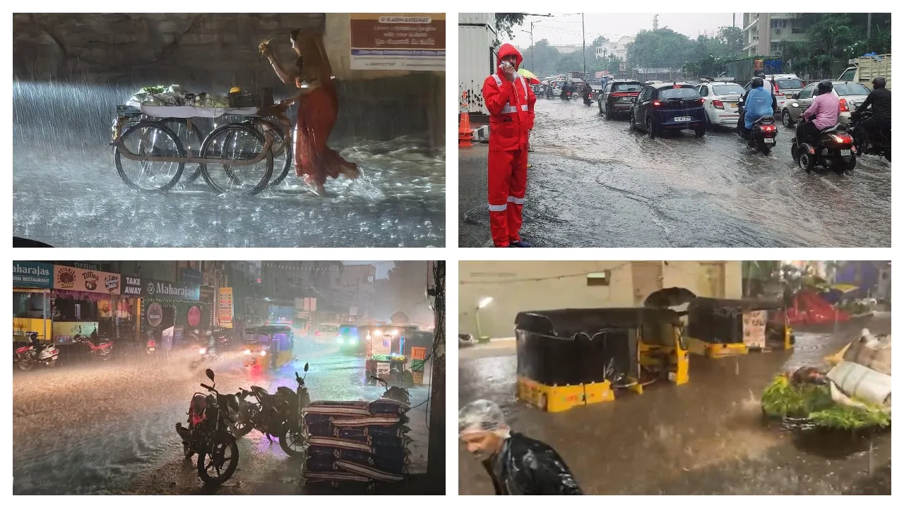 Rain Alert: