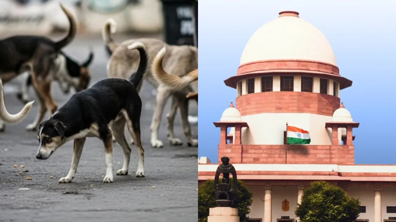 Big Supreme Court Order On Stray Dog Menace