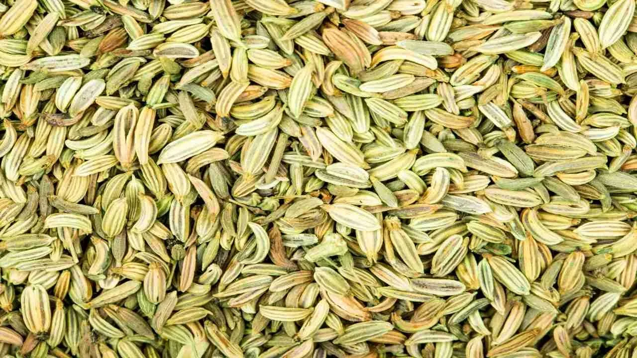 fennel water