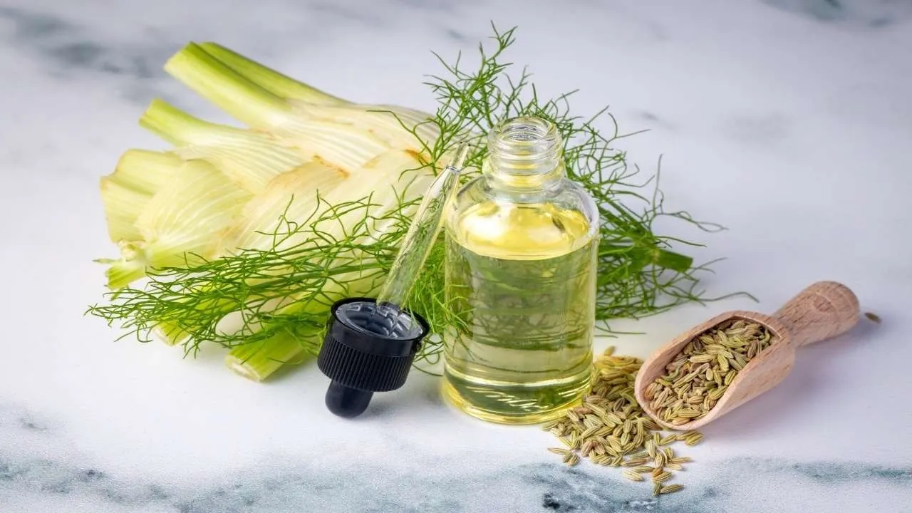 fennel water