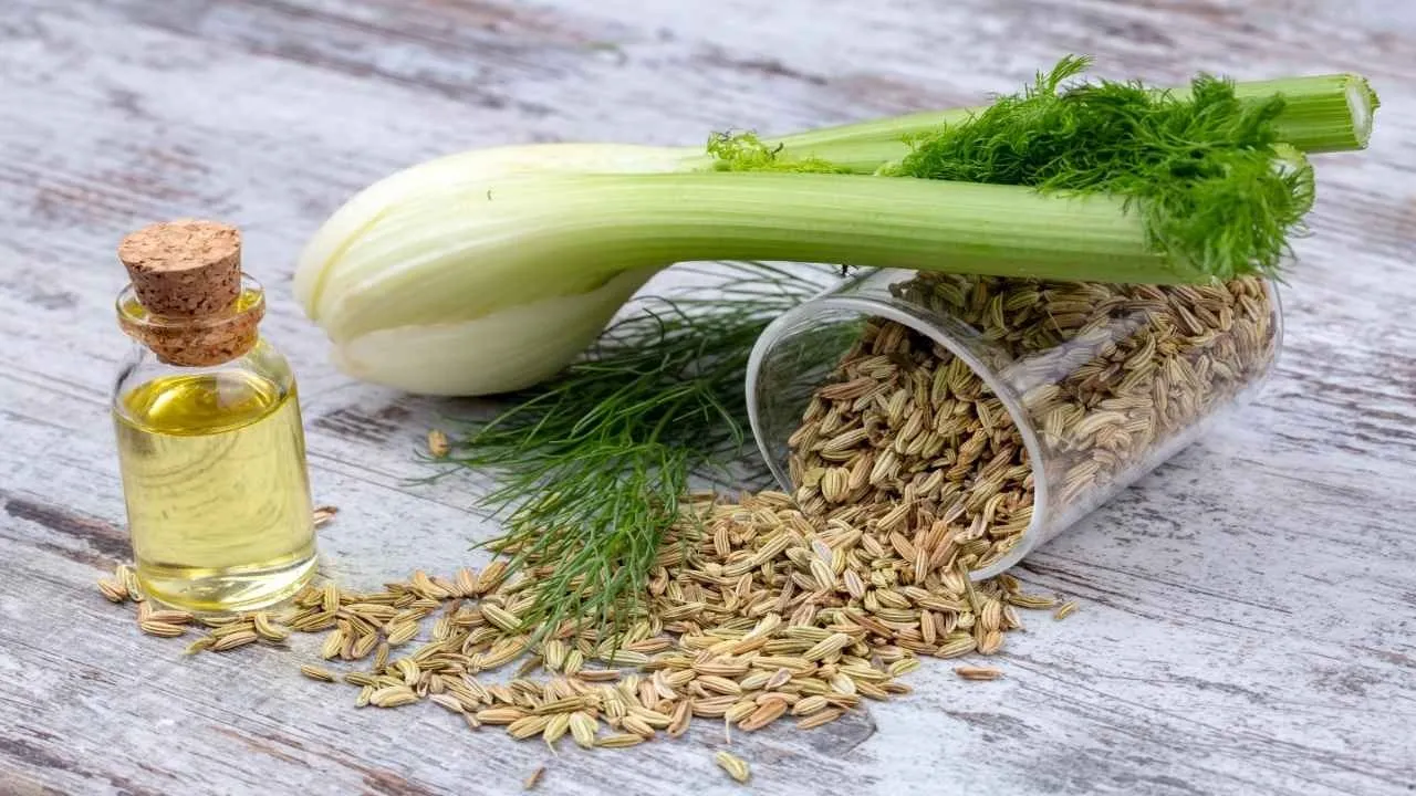 fennel water