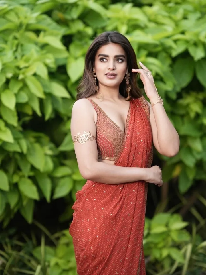 Nidhhi Agerwal pic seven