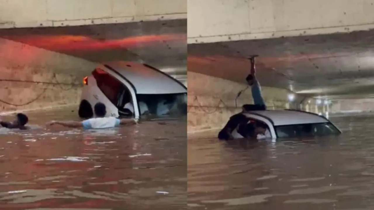 Car  viral news