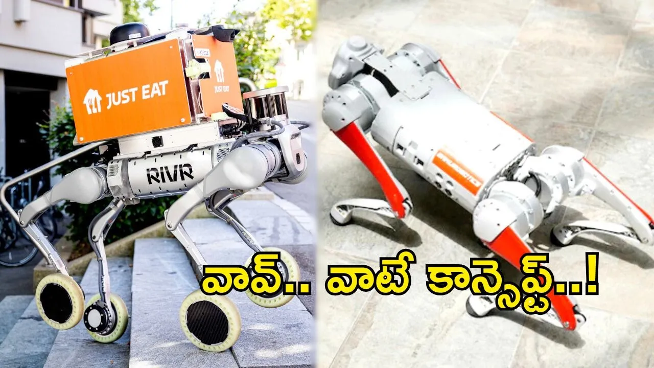 AI Robo Dogs Food Delivery
