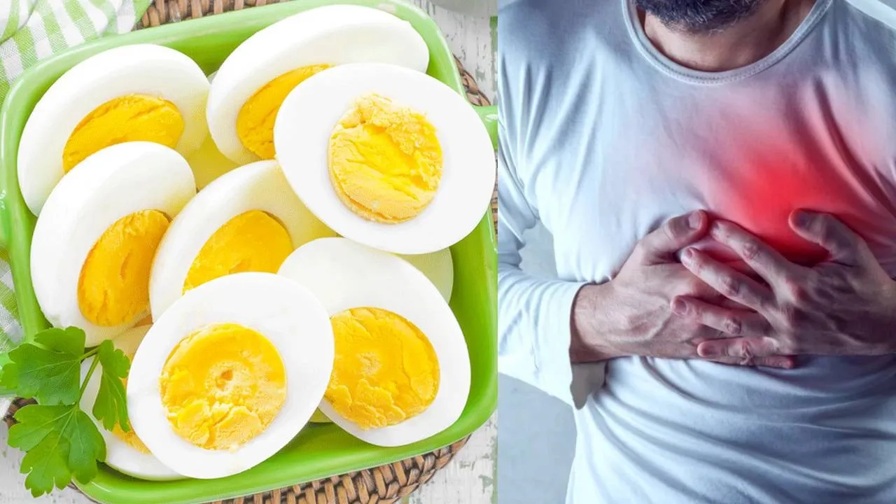 eggs