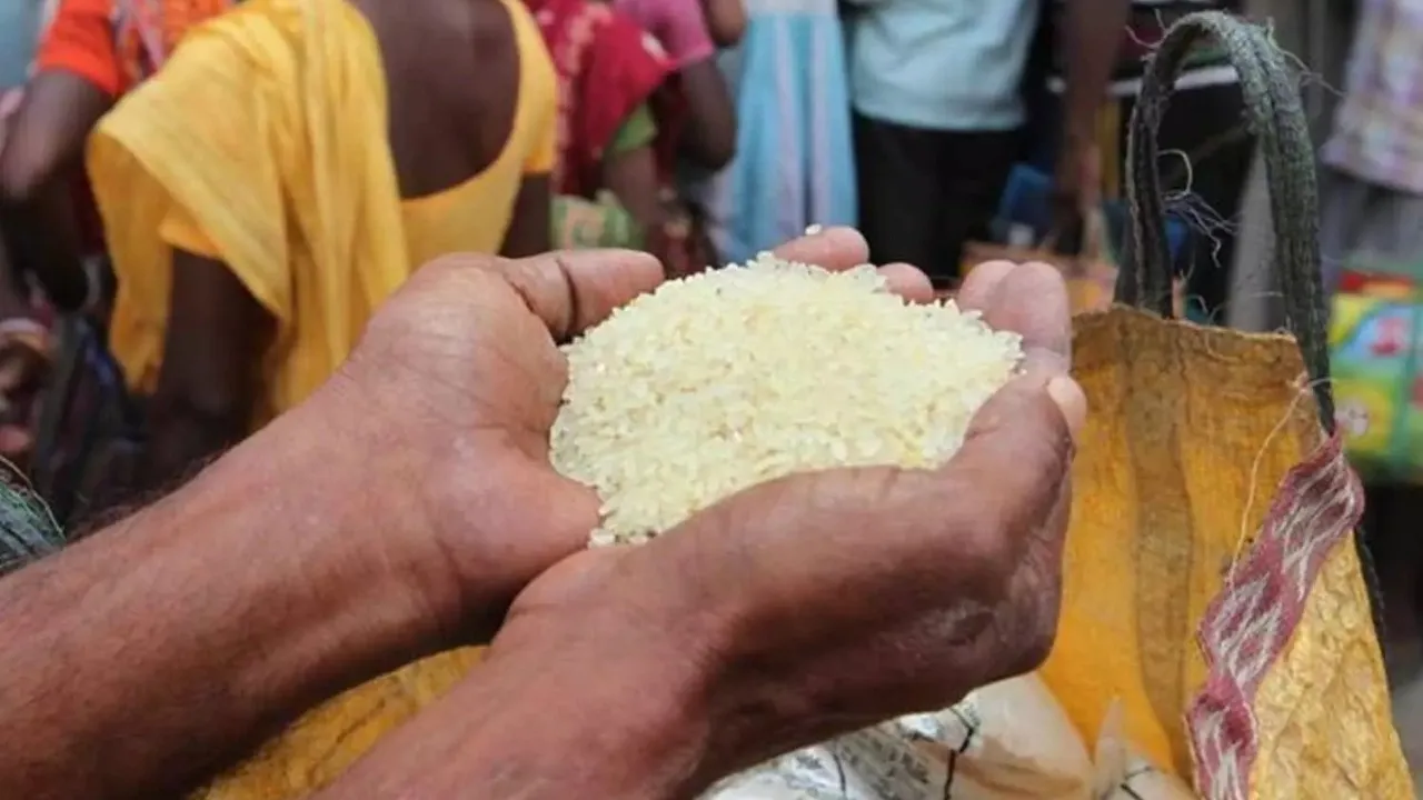 Fine Rice