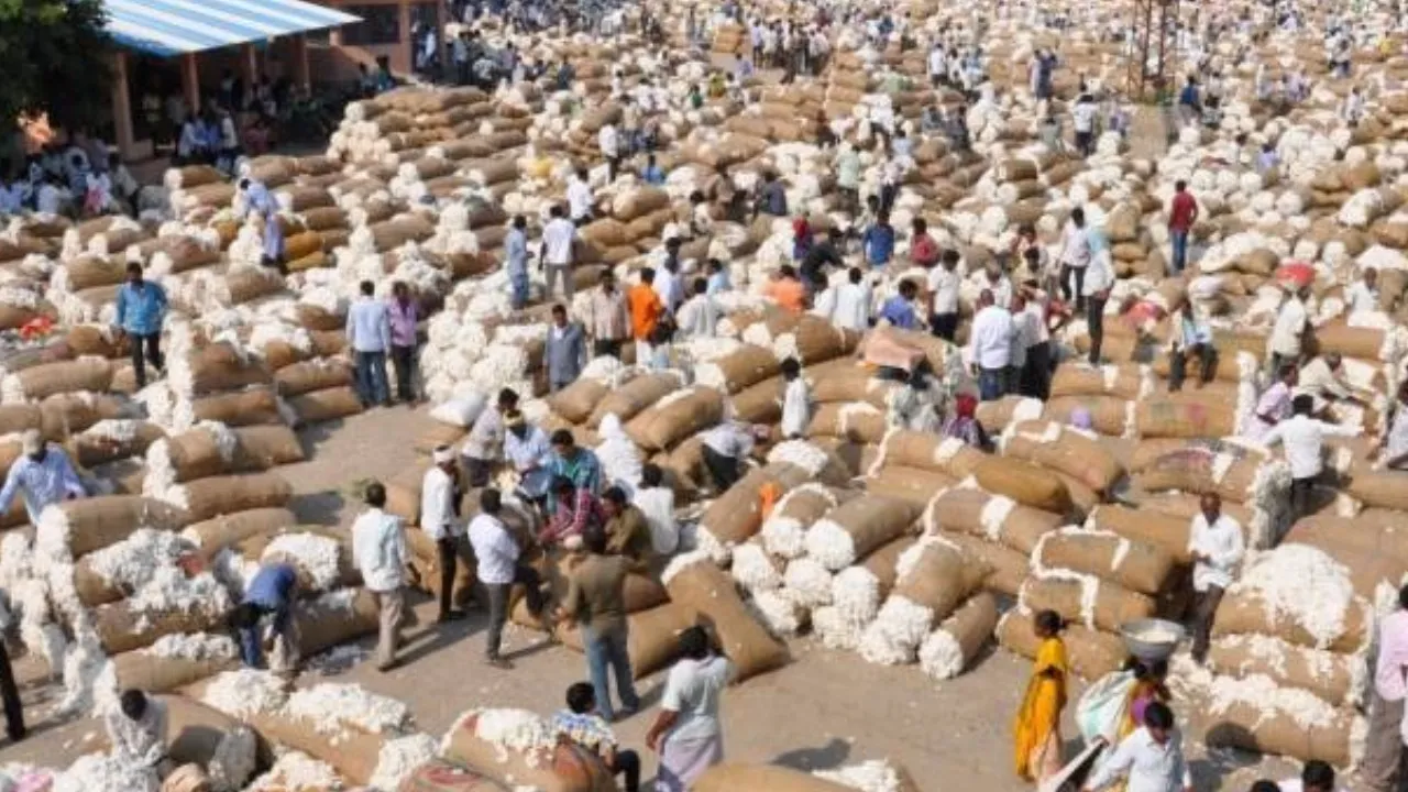 CCI Launches app for cotton procurement