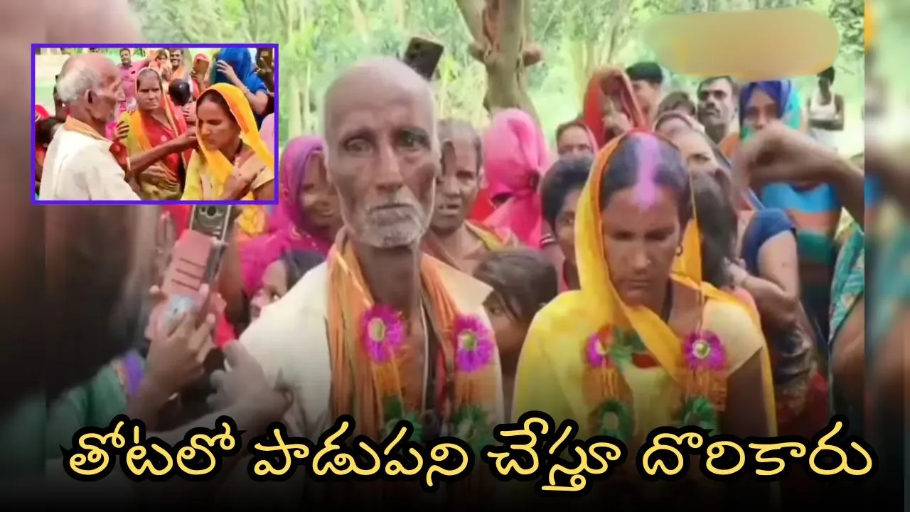 bihar madhubani 70 year old thakai yadav marries 65 year old jagiya devi viral news (1)