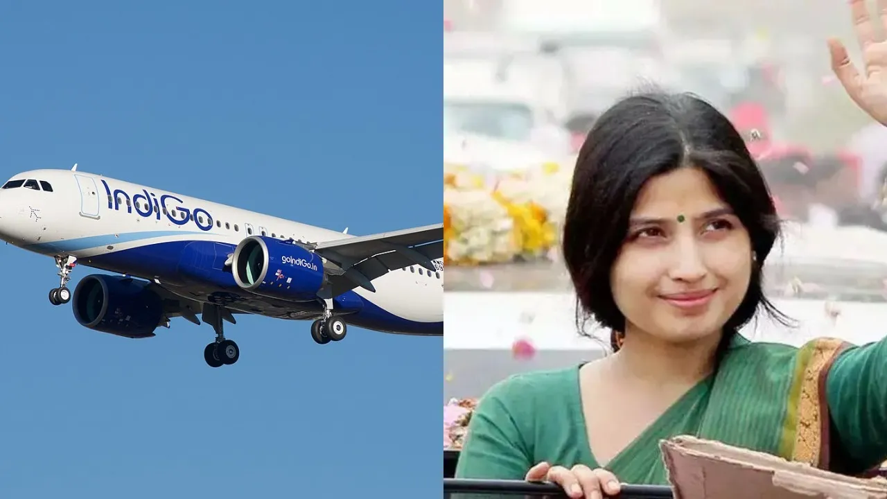 indigo flight