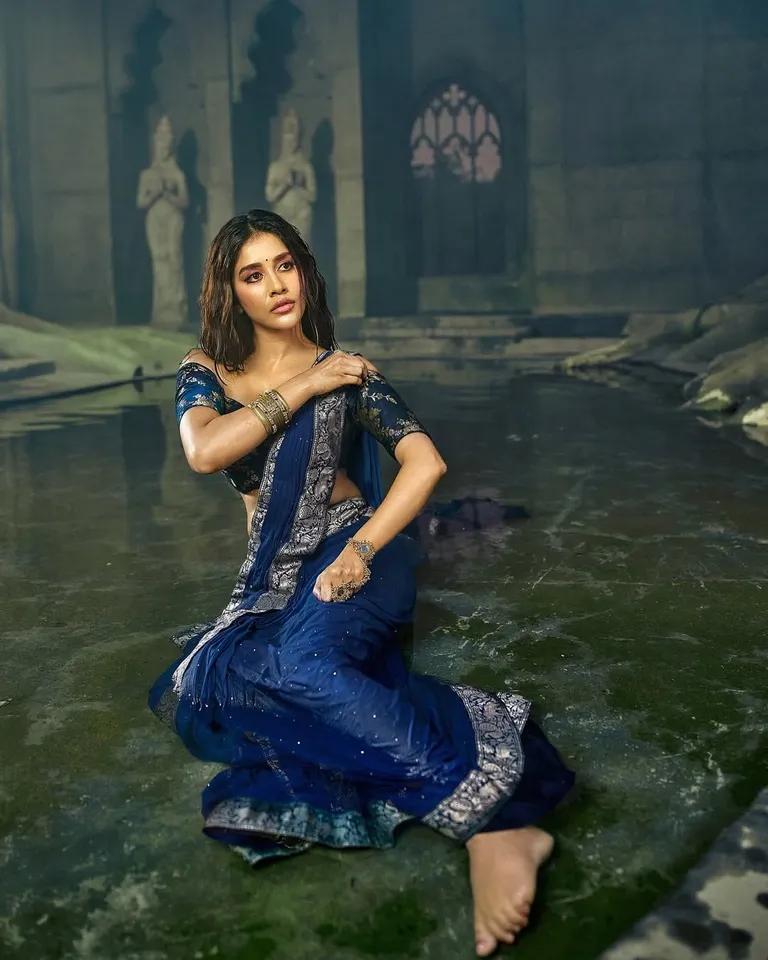 Nabha Natesh blue dress pic four