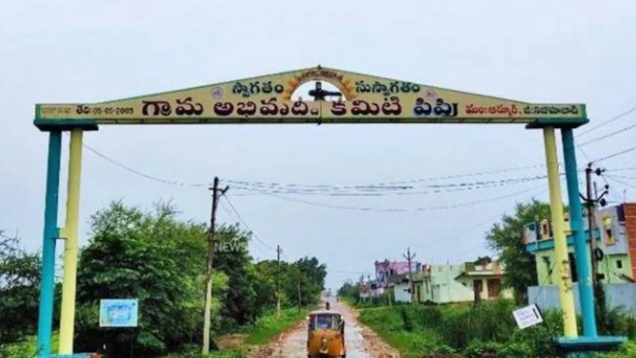 Village Development Committees