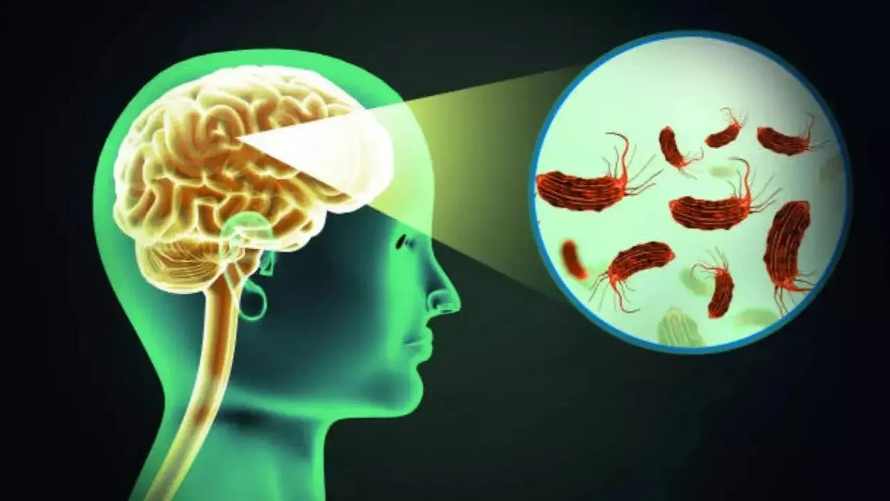 brain eating