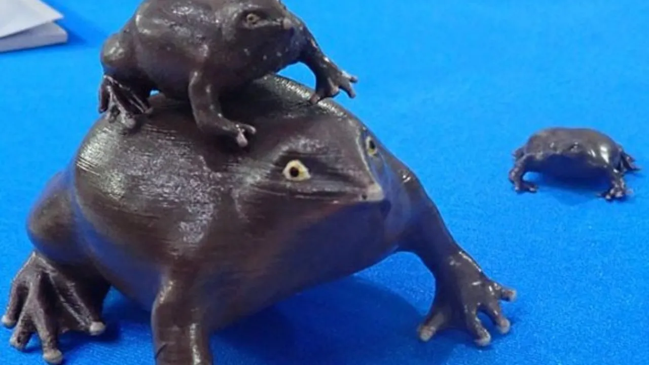 80-million-year-old frog