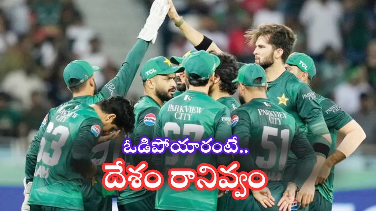 pakistan cricket fans warning her team