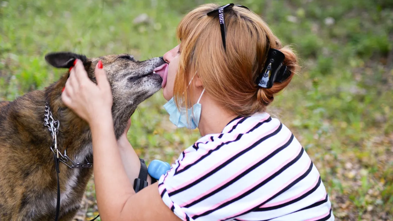 Rabies Risk