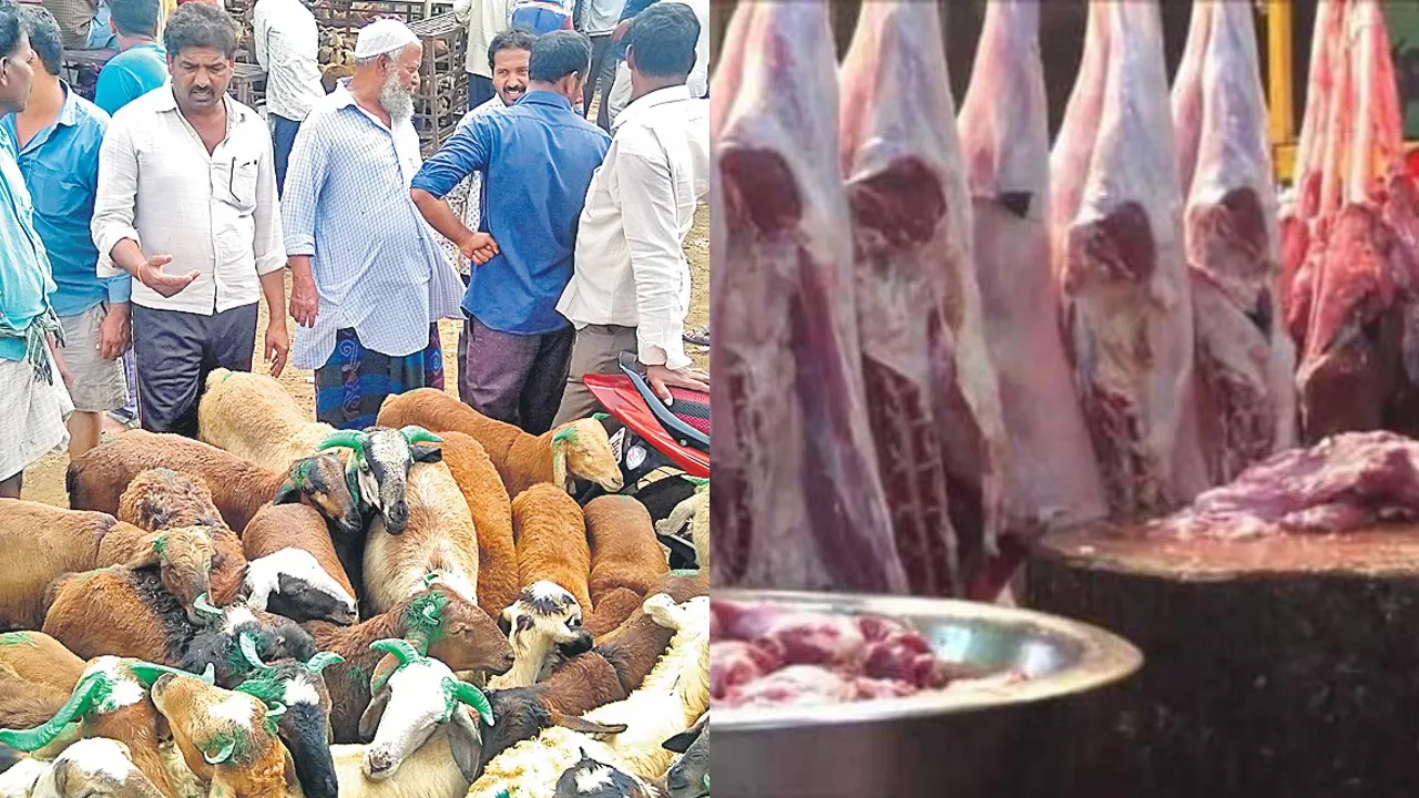 Mandi Goat Market