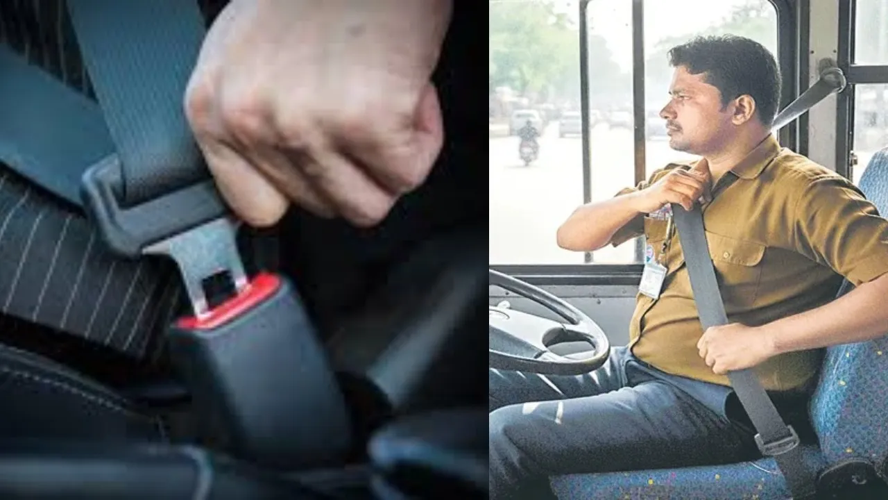 seat belt