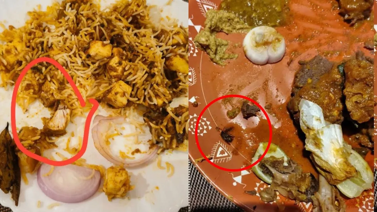A cockroach in a raagi sankati a piece of chicken in paneer biryani