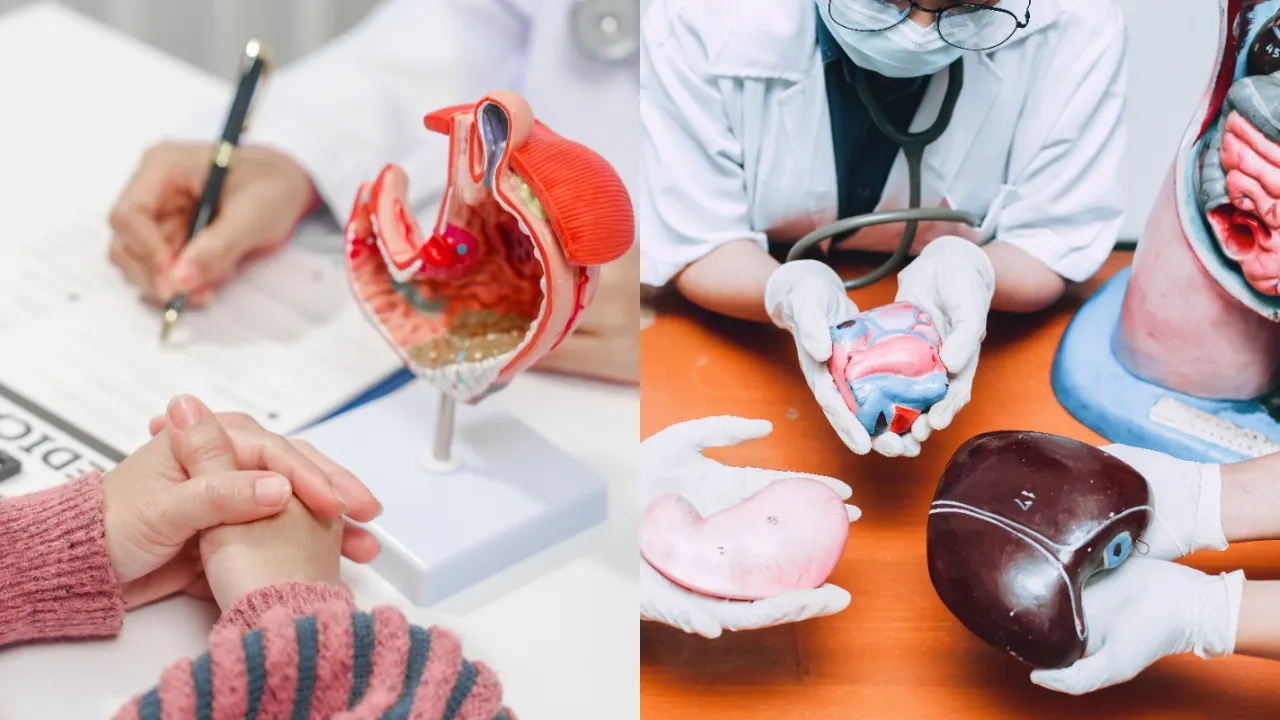 Organ Donation