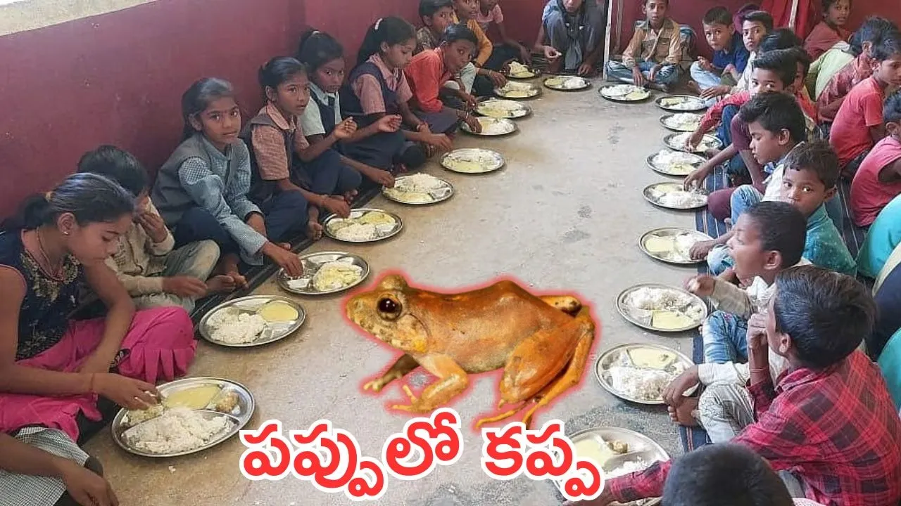 mahaboobnagar district lalkota high school frog in midday meals