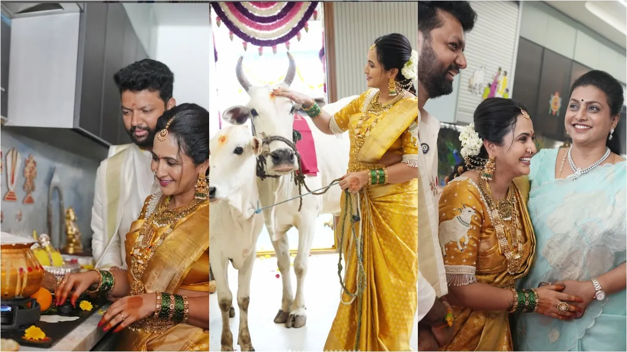 anchor lasya new house