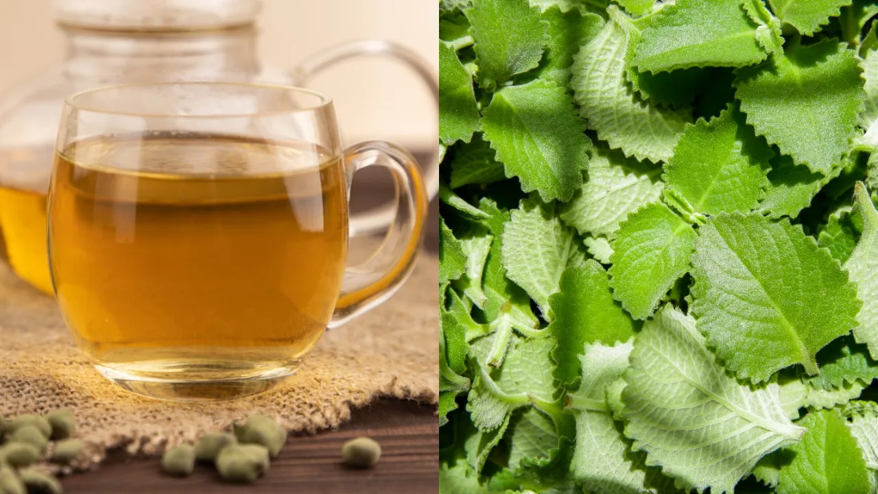 Ajwain leaves tea