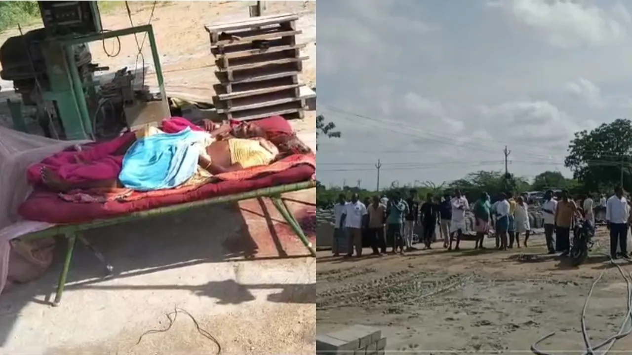 Elderly couple brutally murdered