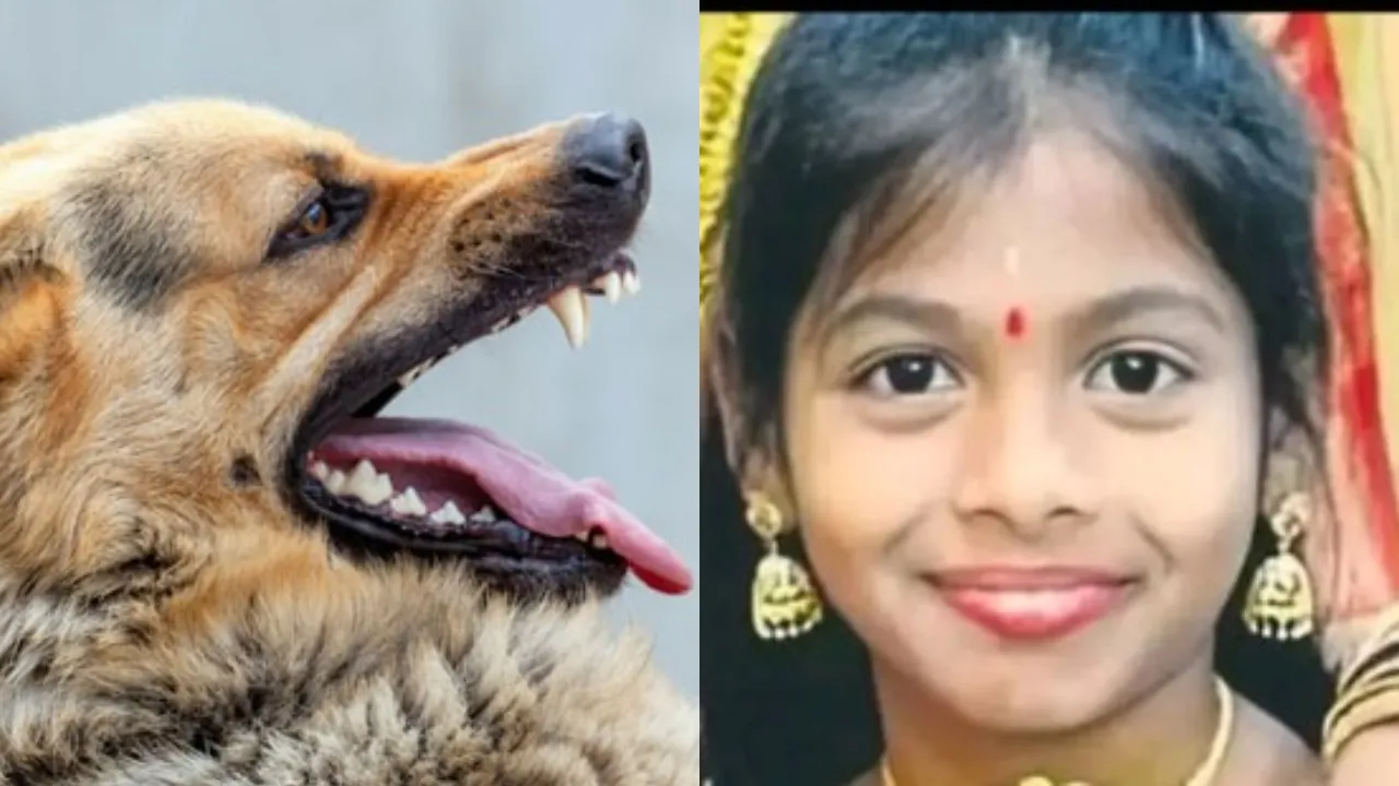 Rabies