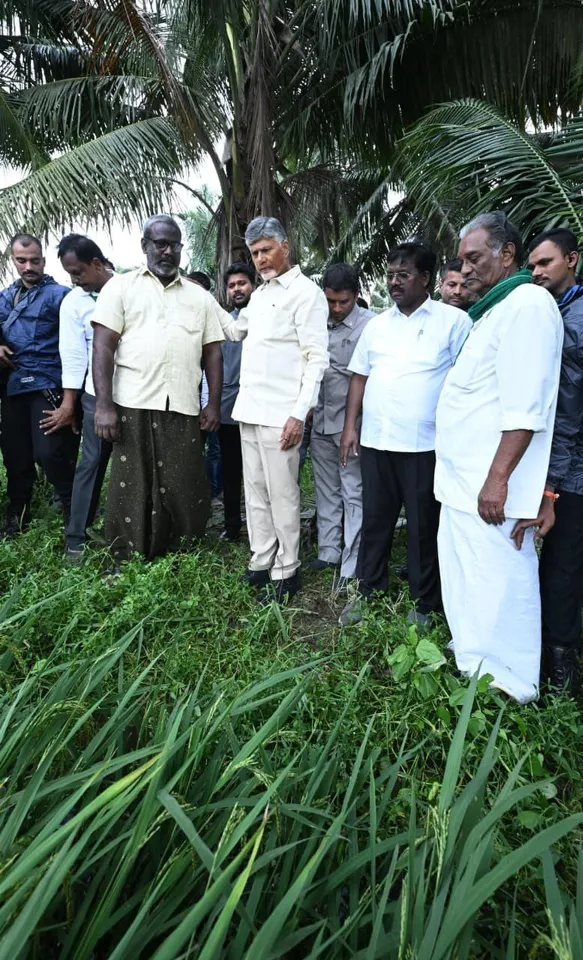 573873209_1413663316786458_428272563254040731_n