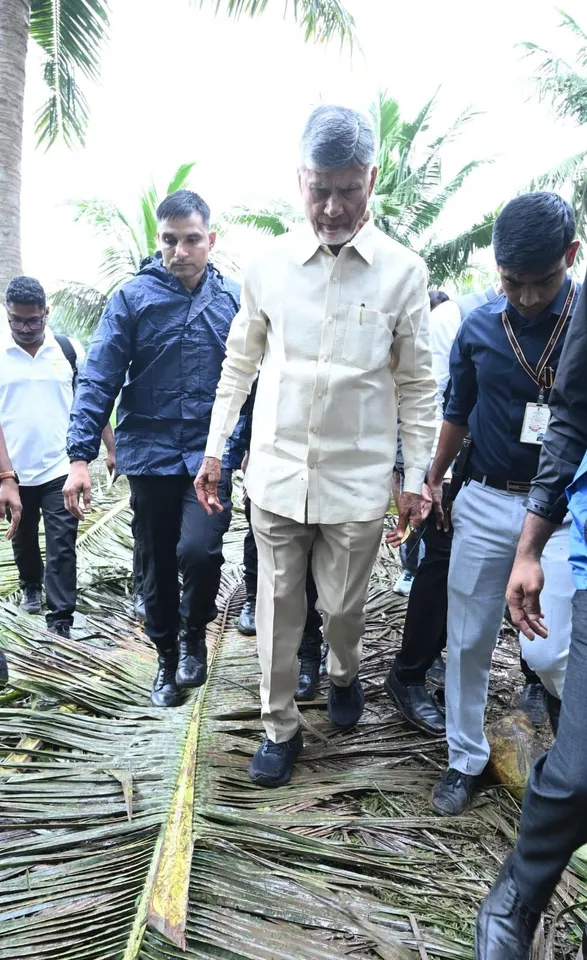 571203294_1413663633453093_879622718215944987_n