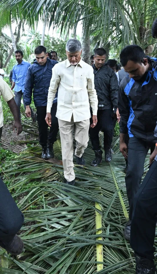 571311161_1413664603452996_5167709213428363213_n