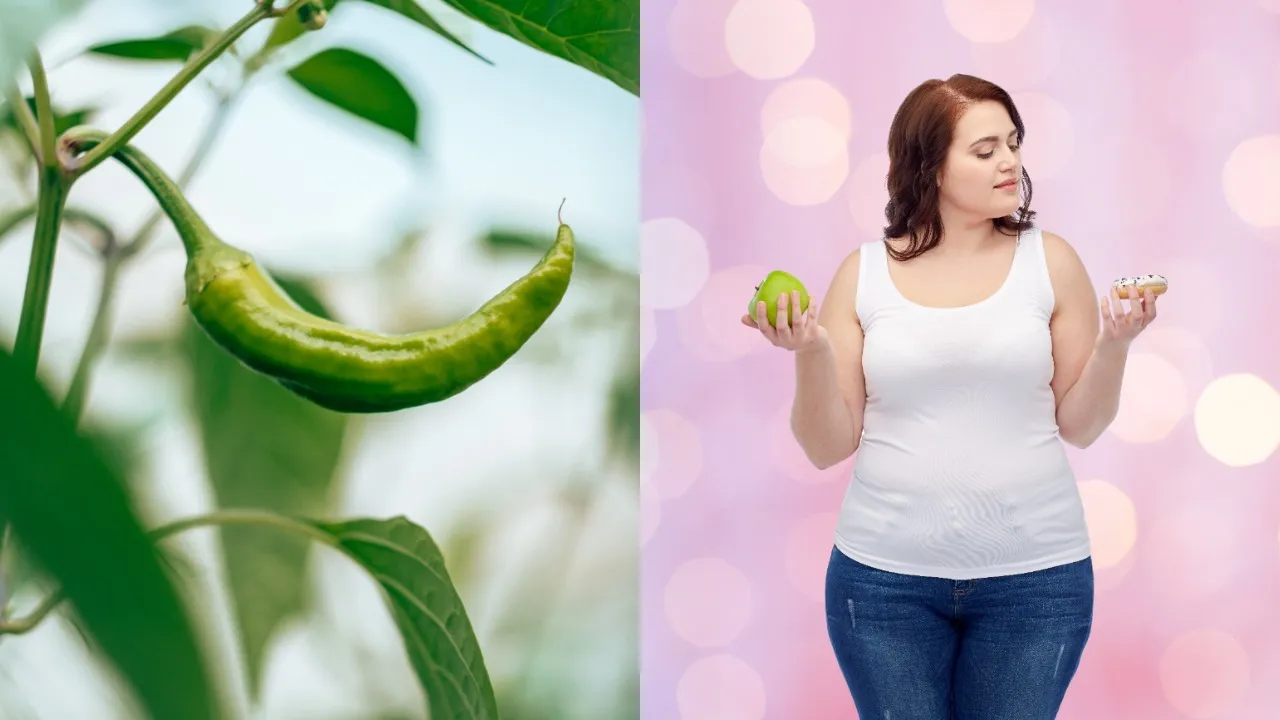 weight loss and green chilli
