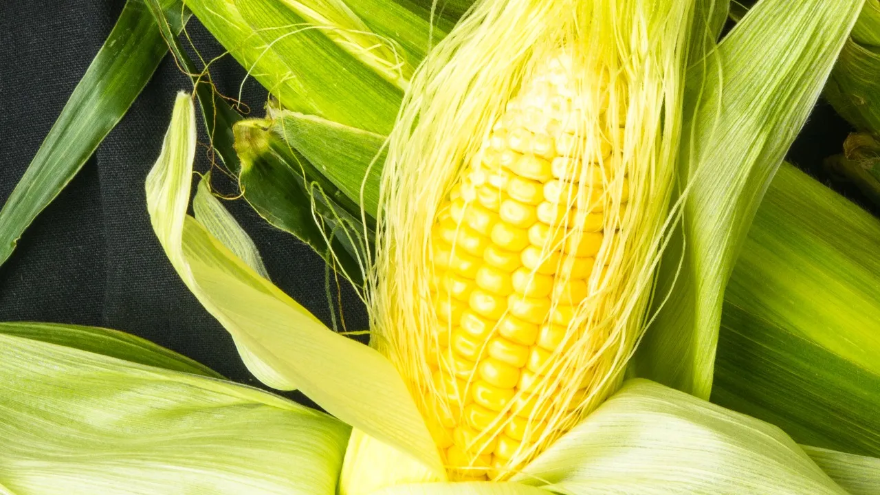 corn