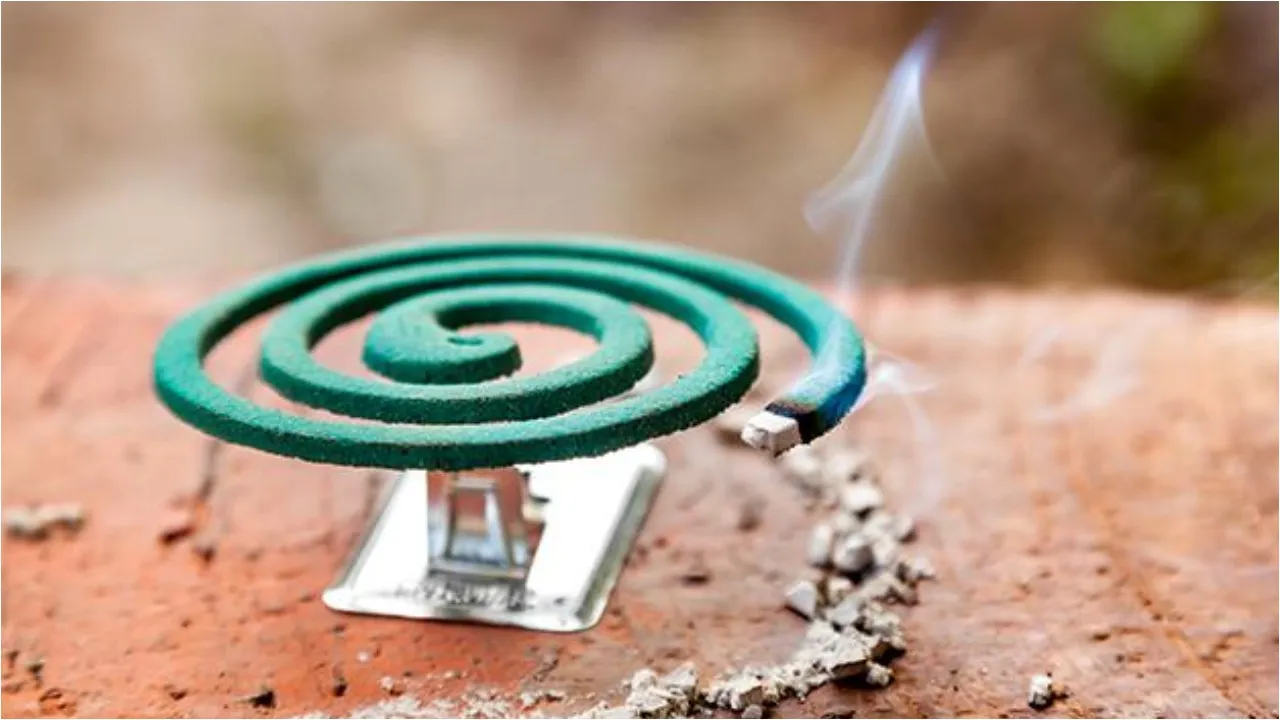 mosquito coil