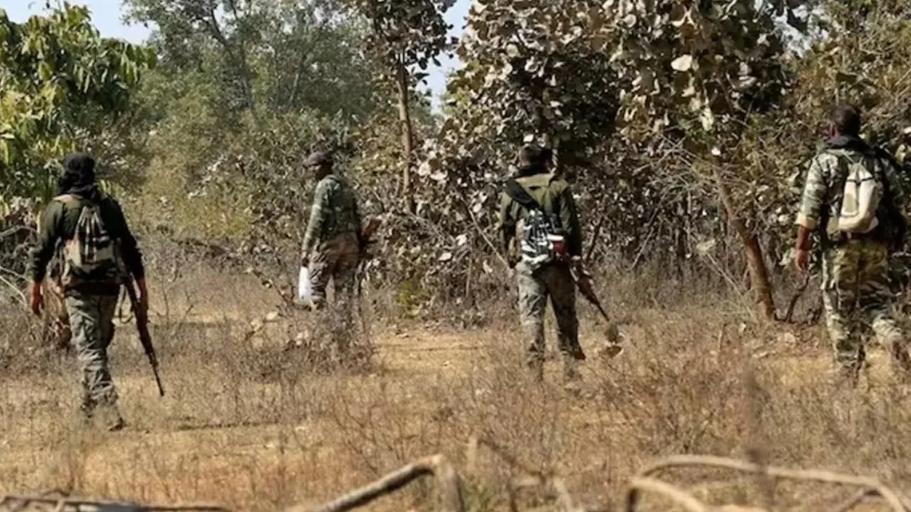 3 Naxals Killed, Commando Dead In Encounter In Maharashtra's Gadchiroli