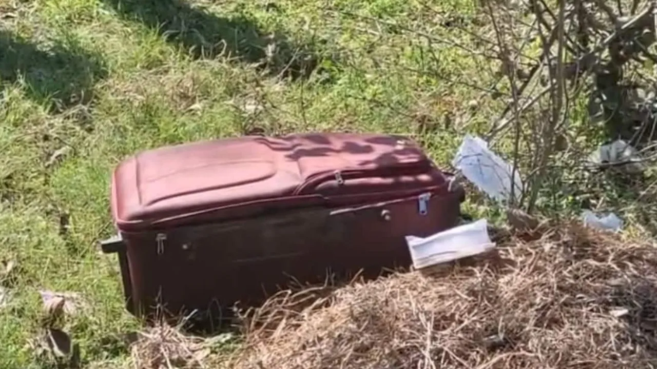 Woman's Half-Burnt Body Found In Suitcase On The Side Of Highway In Punjab
