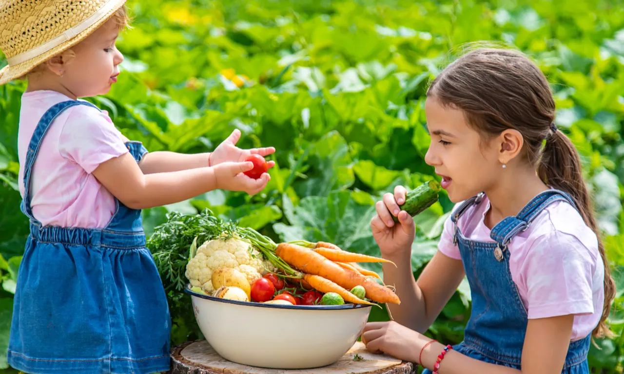Kids don't eating vegetables 